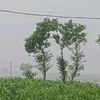 user3191201126825