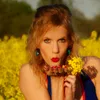 Model_Cladi