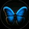 mylifischoice4