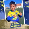papu.merlo