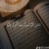 oaran781