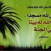user7307134590955