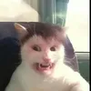 watervr_08_alt