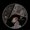 alijaan.khan40