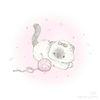 coconut_1135