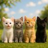 4Cats_Adventures
