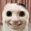 pinktips69