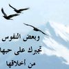 user79082935057333