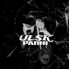 ulsk_parni73