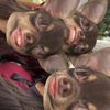 brownie_262
