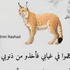 haouaria.sebaa