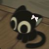 shunny.channell