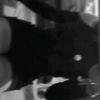 rosa.blanca.cuila