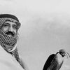 ihamad777