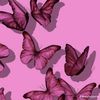 isabel_3813