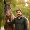 shakeel.ahmed7420