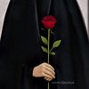 sabr.9218