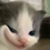 dananh34