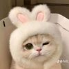 nyeingyi596