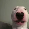 kyriecabiles1