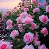 abdu.llah0589