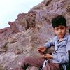 user7475421811561