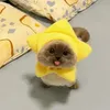 purin.phuongg