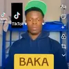 baka.savane6