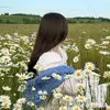 maream12332