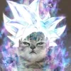 fck_israelvh