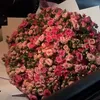 tuliip111