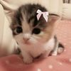 mintywinty6