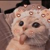 jessiekim01