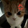 rifki.capek.dikit