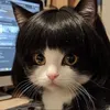 lalisamanobl2