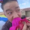 dautayminhquan