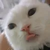 jiannnaaa_9