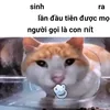 nguyenhoanggialong.0
