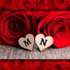 mnora.m