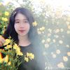 vipfan18