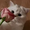 zu5li7