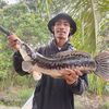 budak_betung🎣
