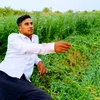 user2195281459619