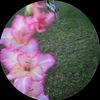 itz.emily7e