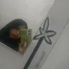 catalinaa2285