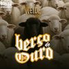 weide.iluminado