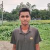 user3801353796615