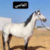 user1245381015841
