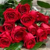 pauleherve.com