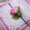 user93865127244610